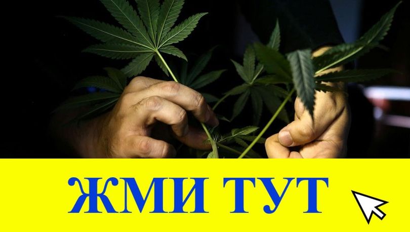 Купить наркотики в Темрюке